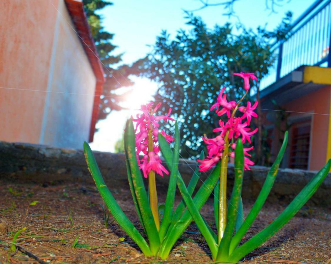 Holiday House Maretta - Apartment No 1 Lukovo Šugarje Dış mekan fotoğraf